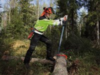 Fällheber BAHCO 1030, Stahl, lang, verstellbarer...