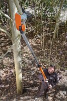 Teleskop-Astschere BAHCO ATP-230-410, ausziehbar von 2300-4000mm