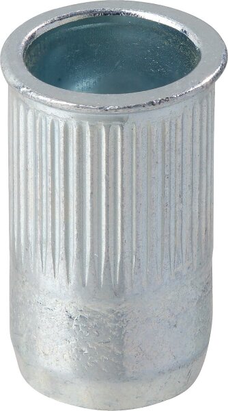 Blindnietmuttern Stahl-geraendelt Kleinkopf M 8 x 11 x 17 VPE 100