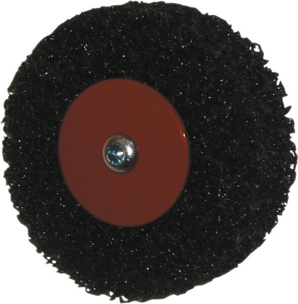 Reinigungsscheiben 100 x 12 mm