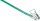 Verzurrgurt, Einteilig, Typ 4000 DIN EC 12195-2 Blau, Gurt 50 mm, Länge 6,0 mtr.