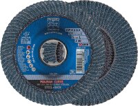 Lamellenschleifteller PFERD Ø 125 x 14mm X-Lock...