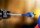 Flachfräsbohrer BOSCH® EXPERT SELFCUT Speed Ø 36,0 x 152 mm mit 1/4" Sechskantaufnahme