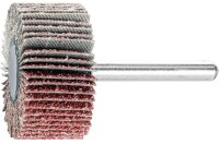 Fächerschleifer Pferd F, Ø 40 x 20 mm,...