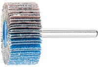 Fächerschleifer Pferd F, Ø 60 x 30 mm,...