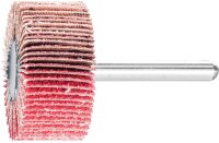 Fächerschleifer Pferd F, Ø 30 x 10 mm,...