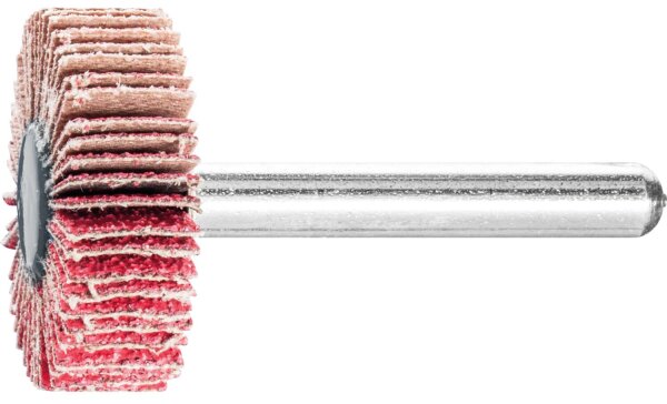 Fächerschleifer Pferd F, Ø 30 x 10 mm, Schaft-Ø 6 mm, Körnung A 80