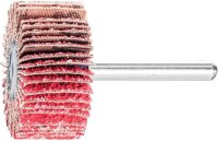 Fächerschleifer Pferd F, Ø 40 x 20 mm,...