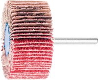 Fächerschleifer Pferd F, Ø 60 x 30 mm,...