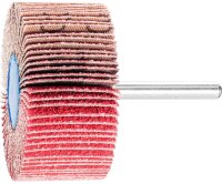 Fächerschleifer Pferd F, Ø 60 x 30 mm,...