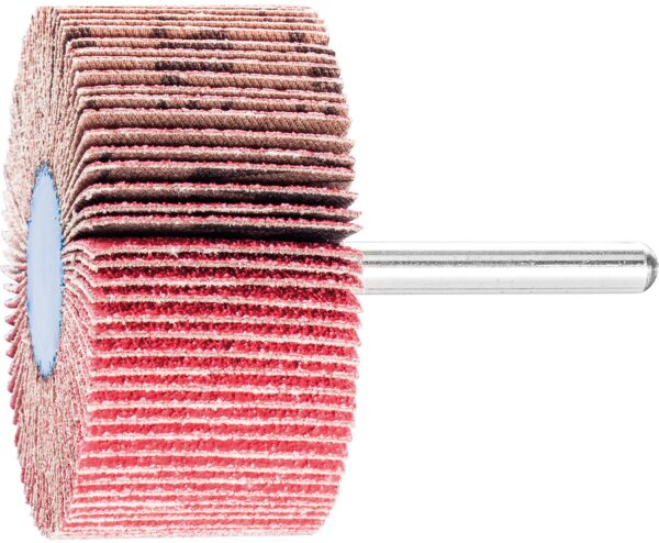 Fächerschleifer Pferd F, Ø 60 x 30 mm, Schaft-Ø 6 mm, Körnung A 80
