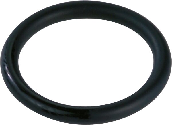 Dichtelement FKM für Solaranlagen/ Vakuumrohre, 18mm, S:2,60mm,Modell 2286