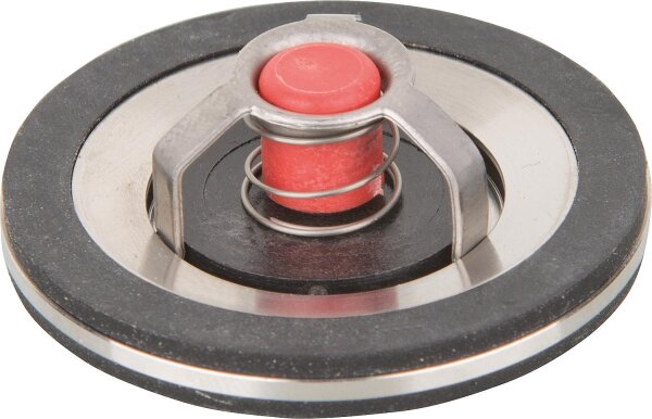 Schwerkraftbremsen TopInset Typ 73 DN20 (3/4")