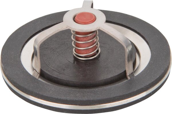 Schwerkraftbremse TopInset Typ 73, DN32 (11/4")