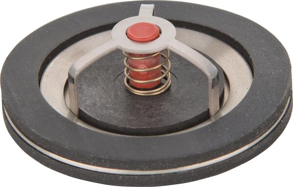 Schwerkraftbremse TopInset Typ 73, DN40 (11/2")