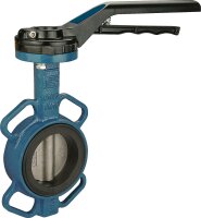 Absperrklappe ARTEMIS EPDM DN 65 PN 16