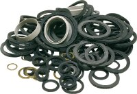 Dichtungs-Service-Beutel verpackt in Polybeutel...