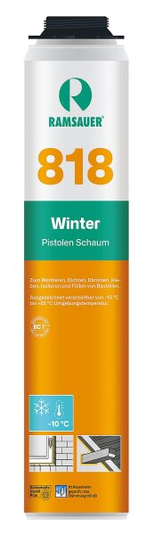 Winterschaum 818 plus NBS, 750 ml für Österreich/Schweiz