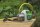 Gartenpumpe Flow TP 1200 R DN 25 (1")