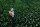 Wasserschlauch refittex 40bar 1/2", 50m