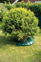 Baum-Bewässerungsring Fassungsvermögen 55 Liter