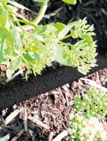 Perlschlauch Geka 15m schwarz m. Stecker