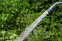 Geka plus Gießkopf soft rain microfine S,...