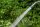 Geka plus Gießkopf soft rain fine S, 0,7mm-Bohrung 30mm