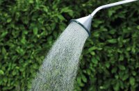 Geka plus Brausekopf soft rain XXL 0,8mm-Bohrung 150mm