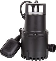Pumpe für SWH 100