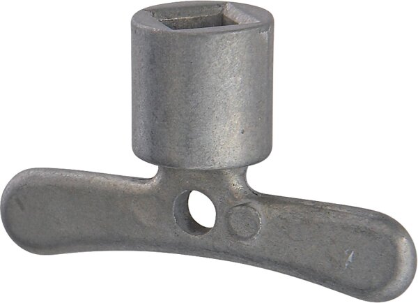 Steckschlüssel mit Innenvierkant 6 mm 5353.29210