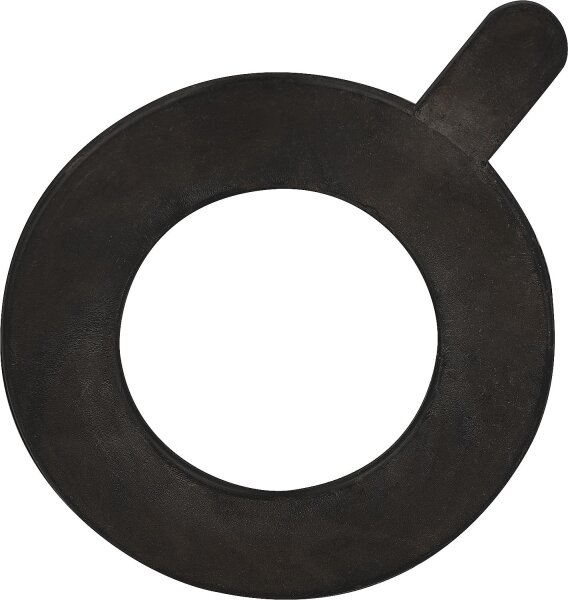 Flanschdichtung DN100