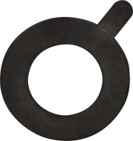 Flanschdichtung DN100