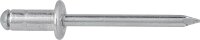 Blindnieten GESIPA PolyGrip Alu/Stahl, 4,8 x 10 mm, VPE:...