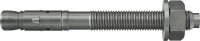 Ankerbolzen Fischer FBZ12/10 A4 Edelstahl A4