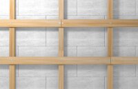 Fischer-Nageldübel Typ N 5x30 P VPE=100