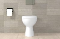 WC- und Sanitärbefestigung S 8 RD 60 WCR