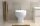 WC- und Sanitärbefestigung S 8 RD 60 WCR