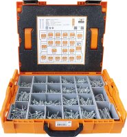 Sortiment HECO-TOPIX PLUS Senkkopf in L-BOXX 102,...