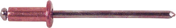 Blindniete Kupfer/Stahl Flachrundkopf Ø 3x8 mm, VPE = 500 Stück