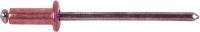 Blindniete Kupfer/Stahl Flachrundkopf Ø 4x8 mm,...