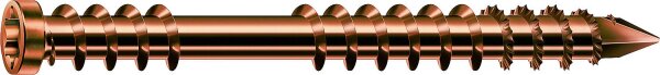 Zylinderkopfschraube Edelstahl A2 Antik Fixiergewinde T-Star Plus Ø5,0x60mm, VPE 100 Stück