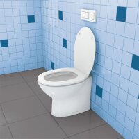 Stand-WC-Befestigung Toilet XL 6,0x85mm