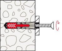 Dübel DUOPOWER 5x25 S Set mit Schraube VPE 50