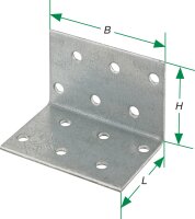 Lochplattenwinkel 100x100x80x2,5