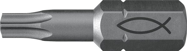 Profi Bit FPB T 25 Inhalt: 10 Bits