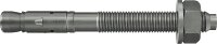 Ankerbolzen Edelstahl FAZ II Plus 12/10 A4