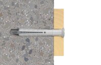 Nageldübel N 6 x 60 S VPE 100