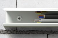 Nageldübel N 6 x 60 S VPE 100