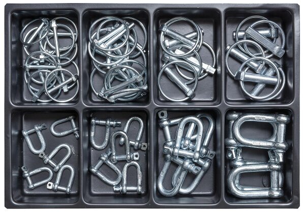 Sortimentenkoffer Klappsplinte und Schäkel,gerade Form mit Kragenbolzen,verz.